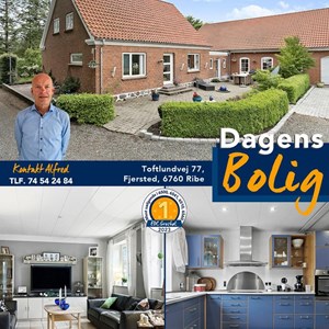 Opslagsbillede