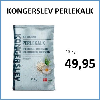 Opslagsbillede