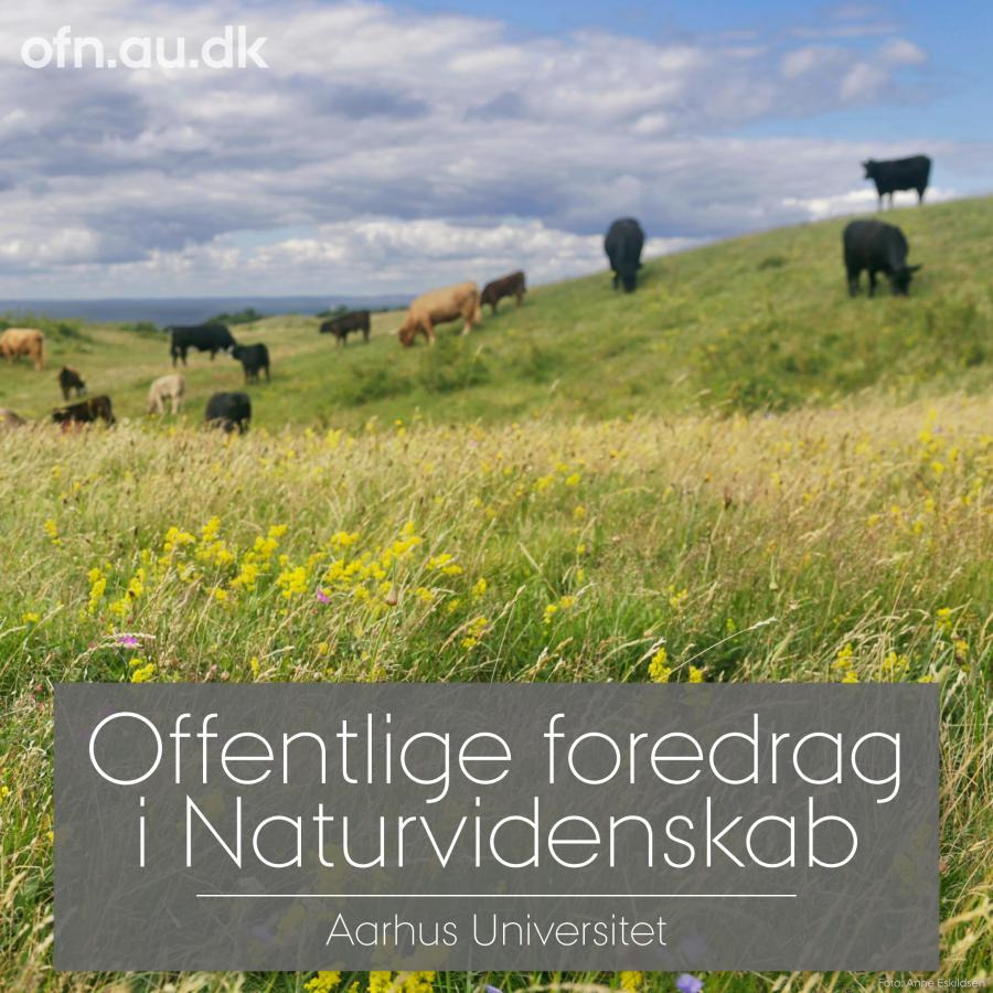 Naturens tilbagegang og muligheder for fremgang: Foredrag i Allerød