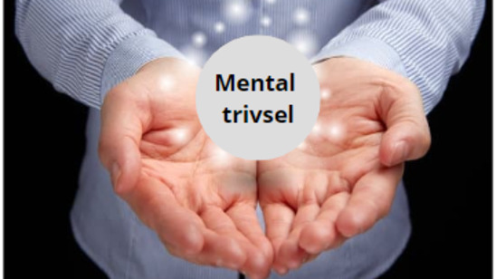 Paneldebat om mental trivsel på Holbæk Bibliotek