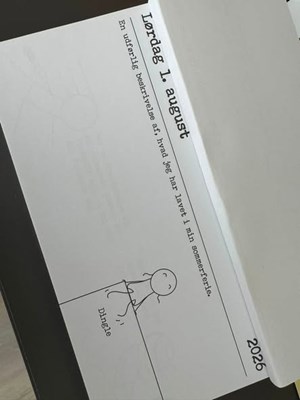 opslagsbillede