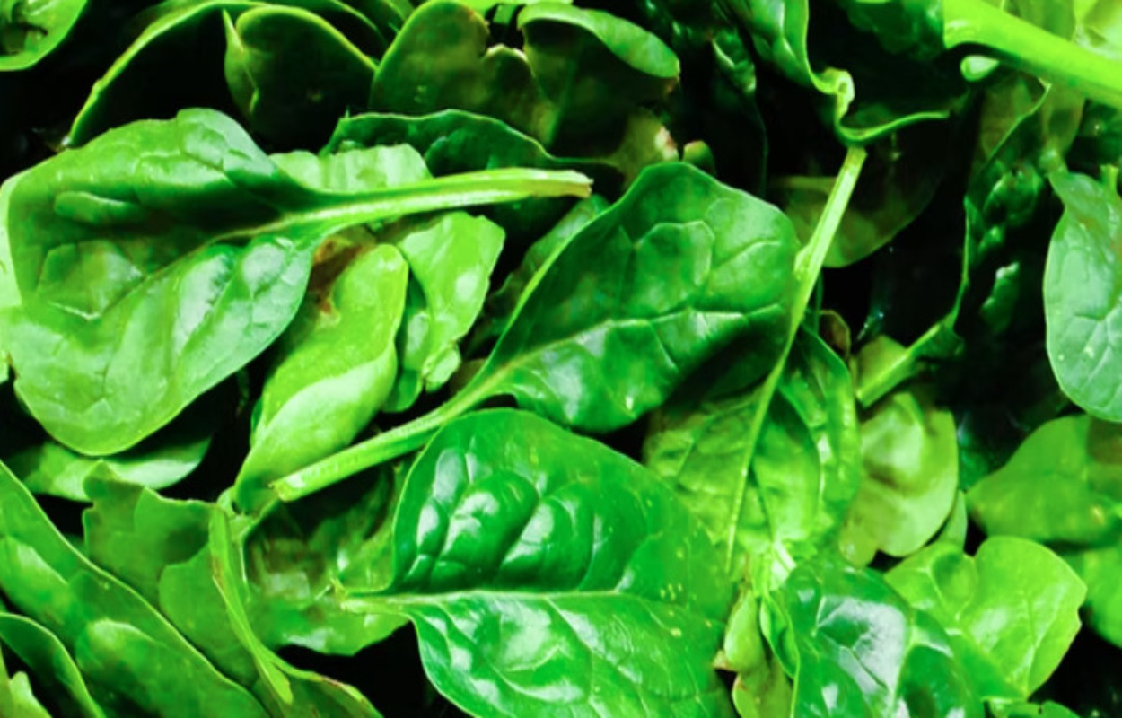 Grønne offentlige køkkener