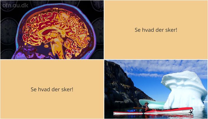 Udforskning af hjernen og eventyr i Grønland - Hvad der sker i Gedved den kommende uge