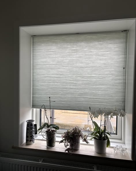 Viborg Gulvforum præsenterer elegante plisségardiner til dit hjem