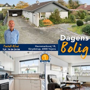 Opslagsbillede