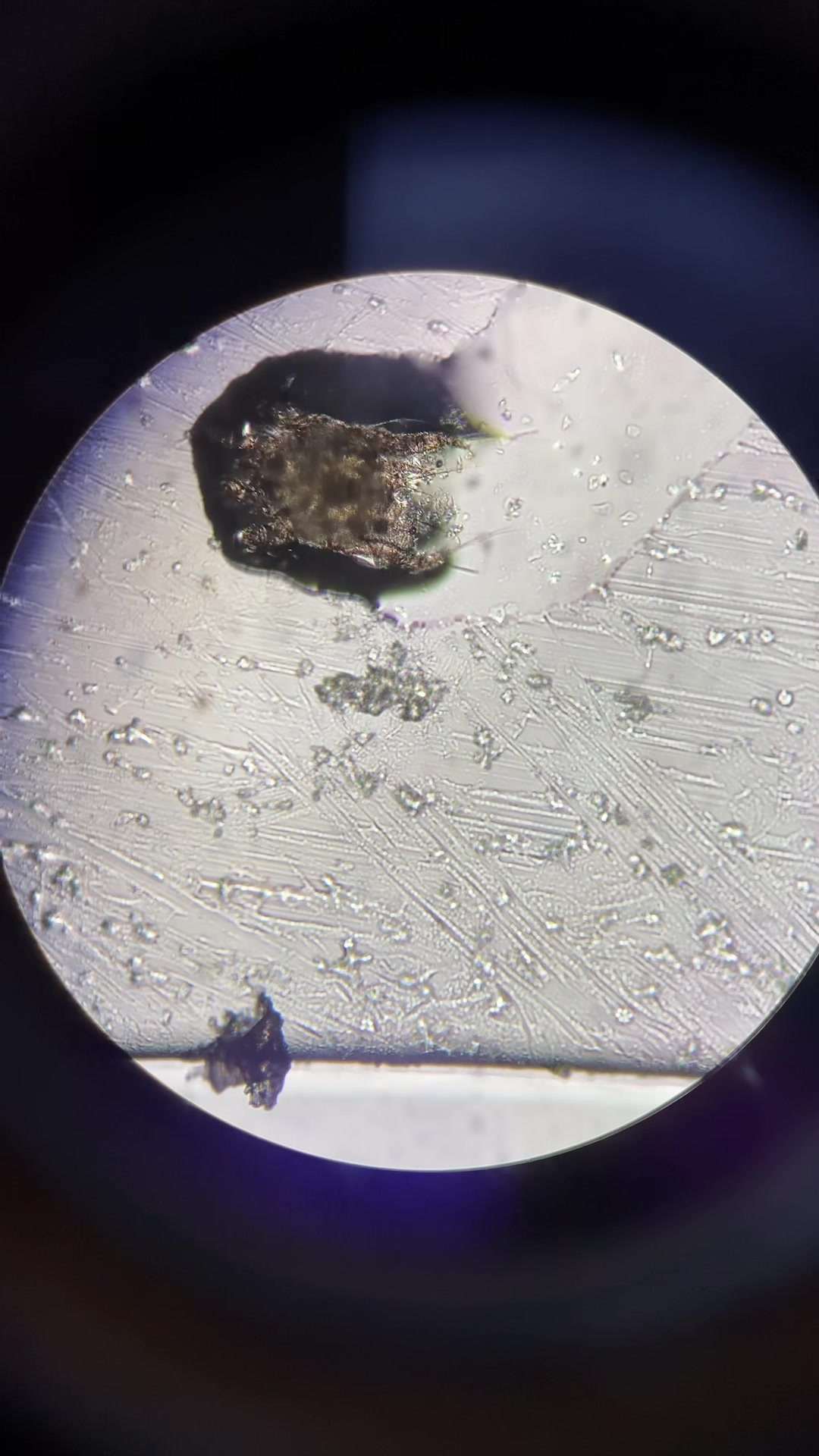 Hold dig ajour med dagens opdateringer fra Herning