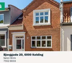 opslagsbillede