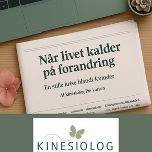 Opslagsbillede