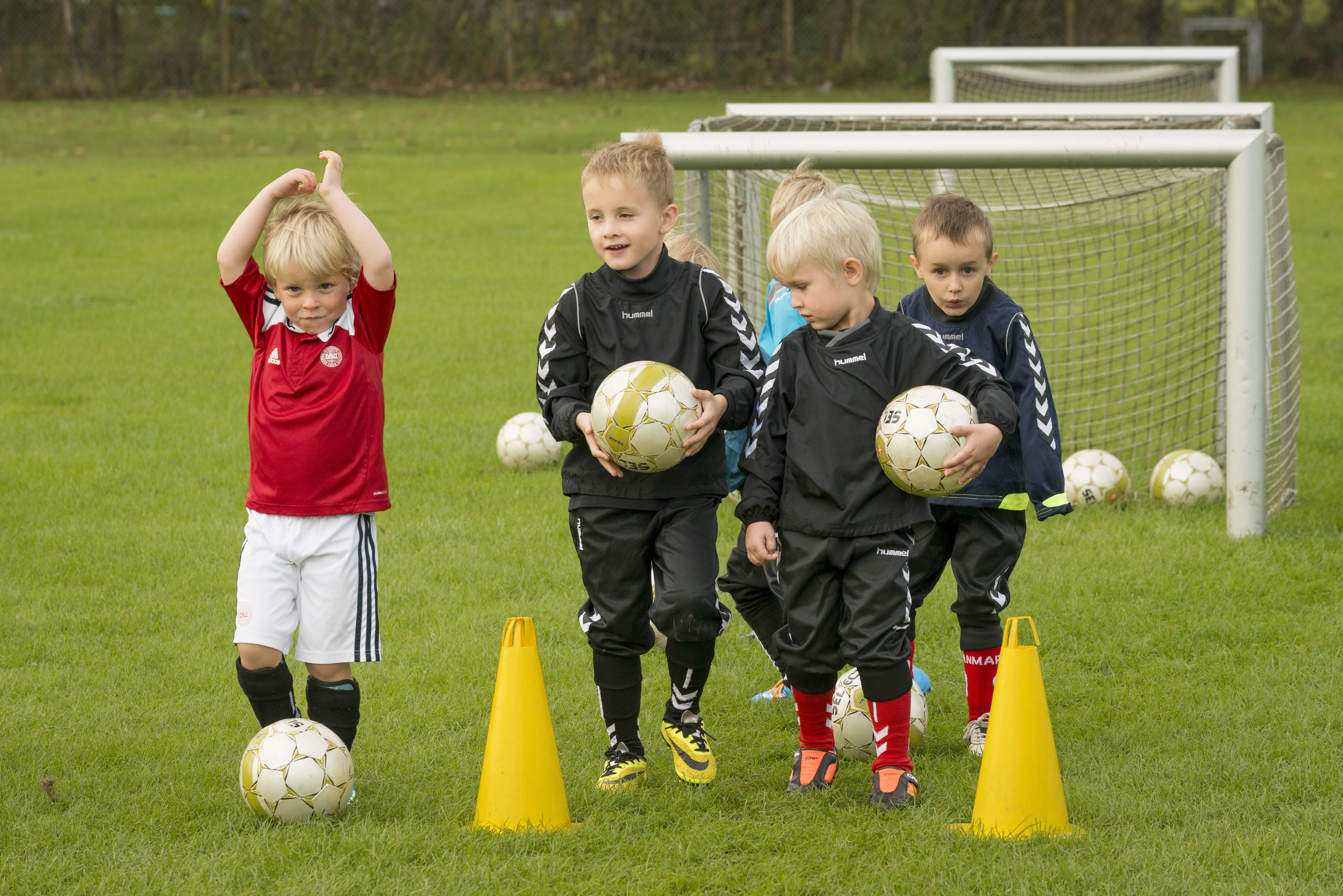 Flere er medlem af en idrætsforening i Randers Kommune