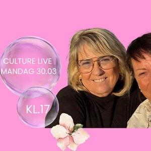 Opslagsbillede