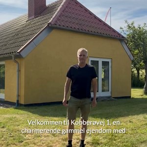 Opslagsbillede