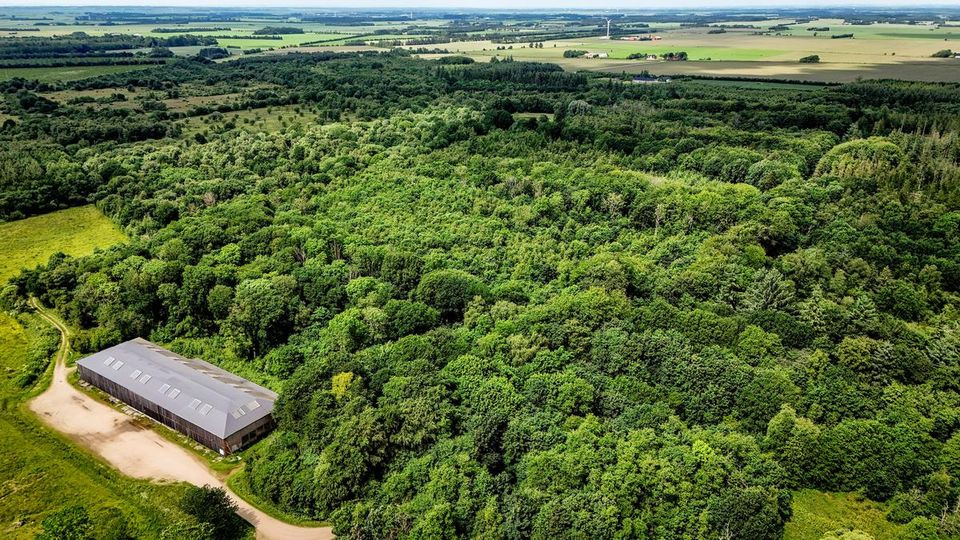 Millionbevilling giver Zeppelinprojektet luft under vingerne