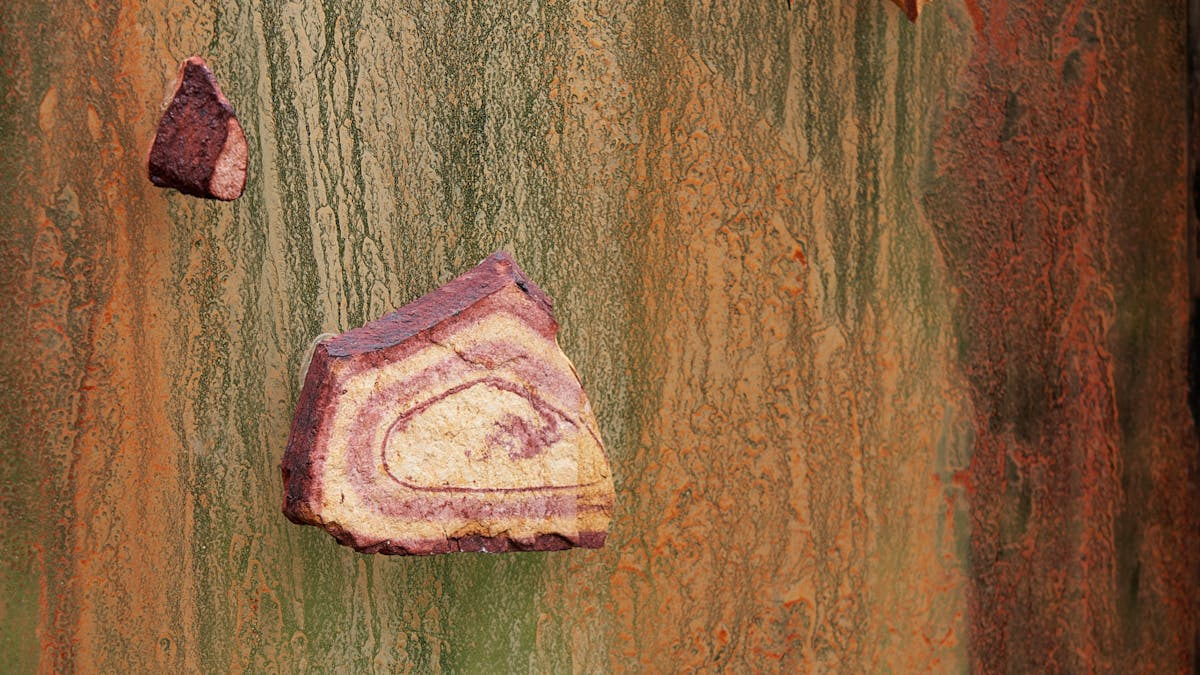 Udstilling og vandring i Sct. Hans Have: 'I mørket beder vi solen huske os'