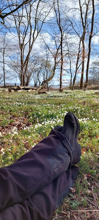 Opdatér dig her: Det nyeste fra Hammel