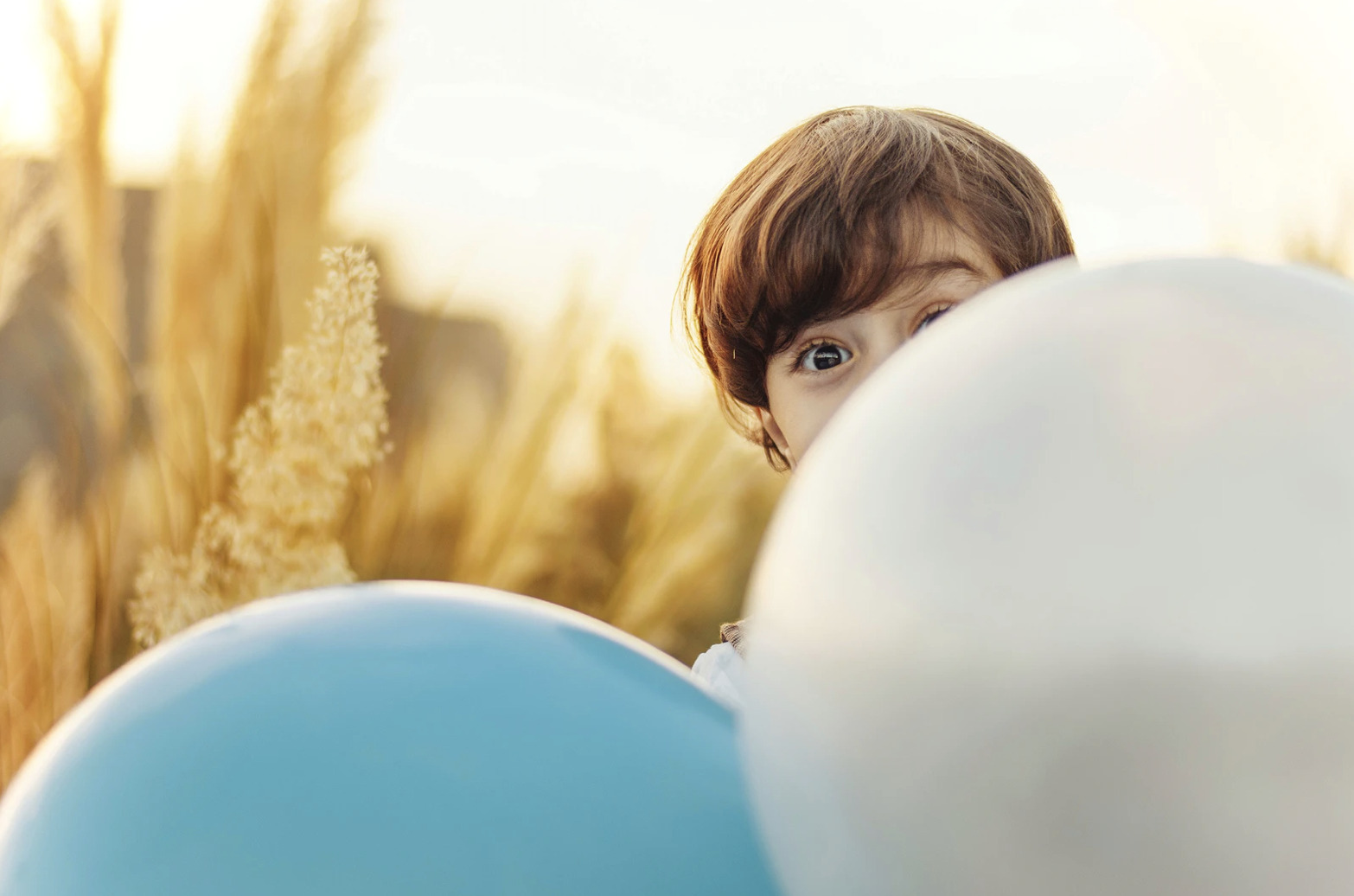 50 farlige ting (alle børn bør prøve)