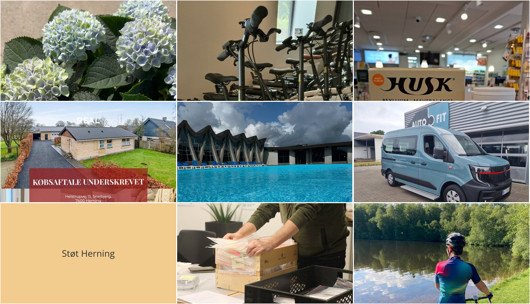 Nyt fra RealMæglerne Herning, AutoFit A/S, Vestergades Blomster ApS og 5 andre