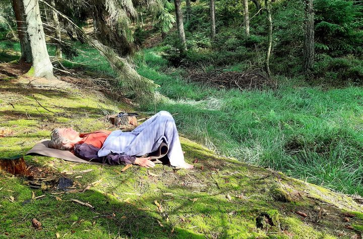 Opdatér dig her: Det nyeste fra Hammel