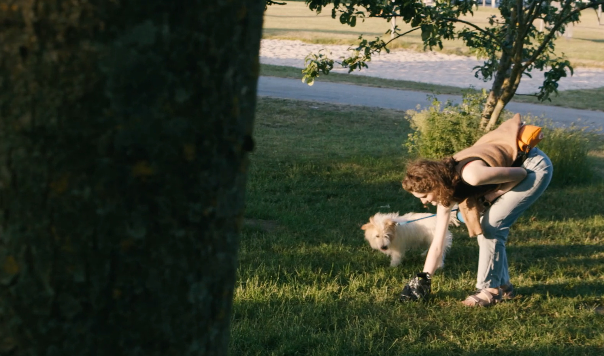 Ny Ren Randers kampagne minder hundeluftere om at samle op