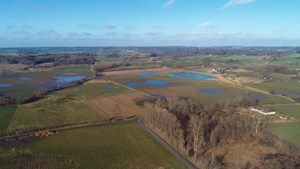Assens Kommune fremmer bæredygtighed ved at omdanne landbrugsjord til naturarealer gennem Grøn Trepart aftalen