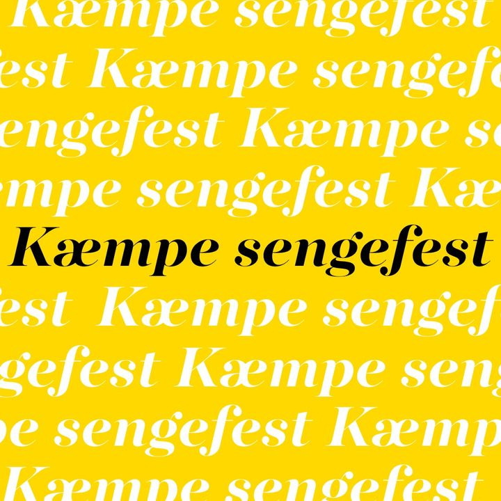 Opdatér dig her: Det nyeste fra Holstebro