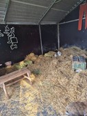 Hos Jensen Jordbær er der nyt halm til dyrene og jul og halloween står for døren