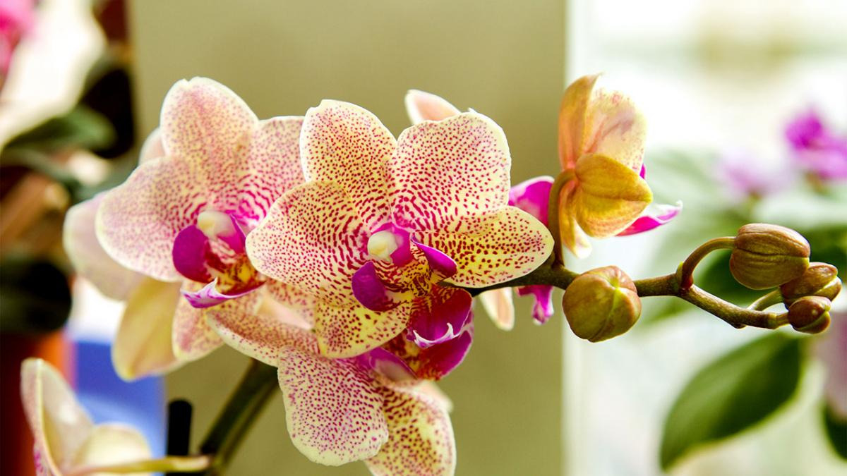 Rie & Henrik's Tøjbiks v/Rie Olesen tilbyder byens billigste tøj og brugskunst i Randers