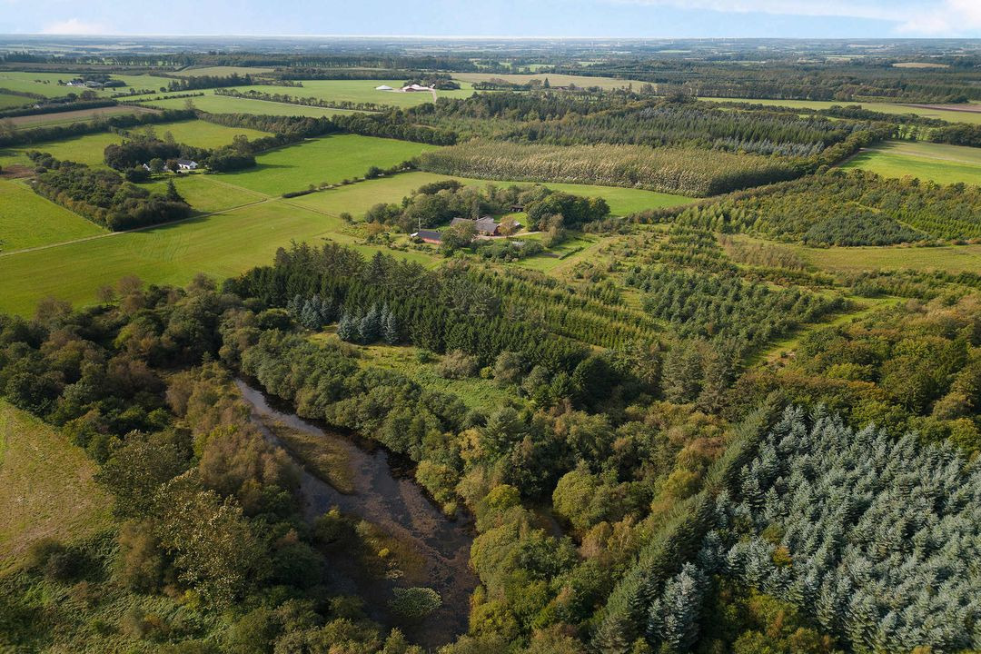 Hold trit med lokalområdet: Nyt fra Tjele