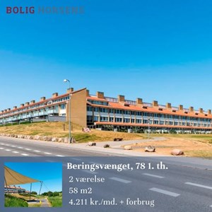 Opslagsbillede