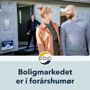 Opslagsbillede