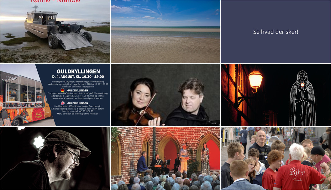 Oplevelser i Ribe den kommende uge: Ø-hop, jazz, opera og skæbnefortællinger