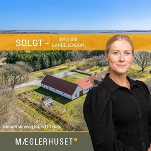 Opslagsbillede