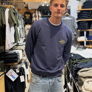 Opslagsbillede