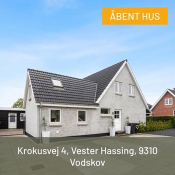 Opslagsbillede