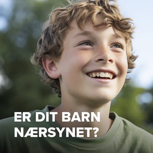opslagsbillede