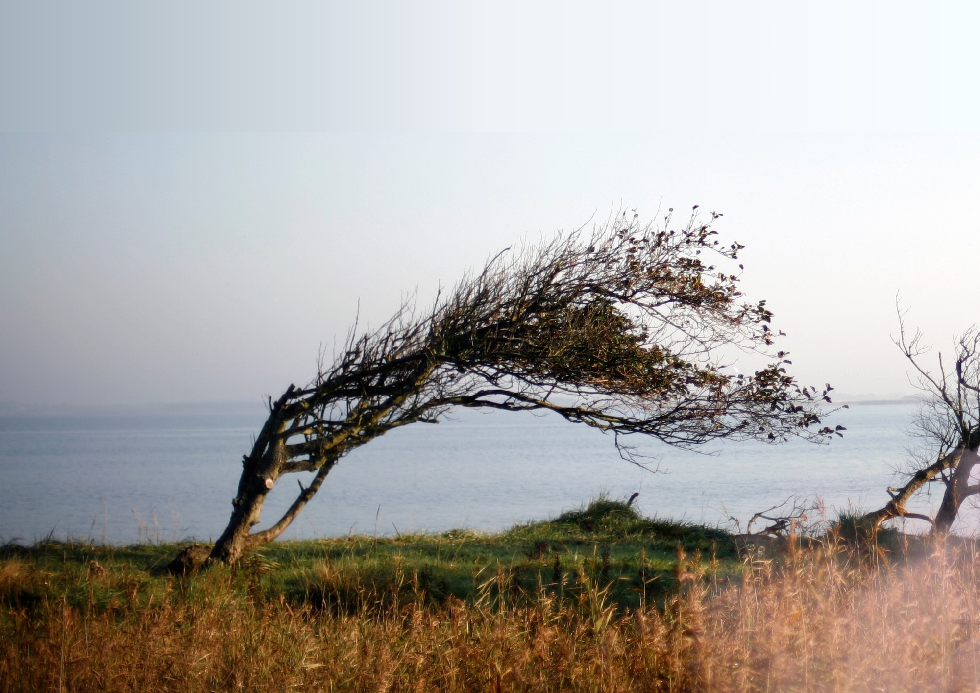 Premiere på LYKKE-PER på Teater Jævn i Hedensted Kommune