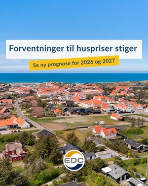 opslagsbillede