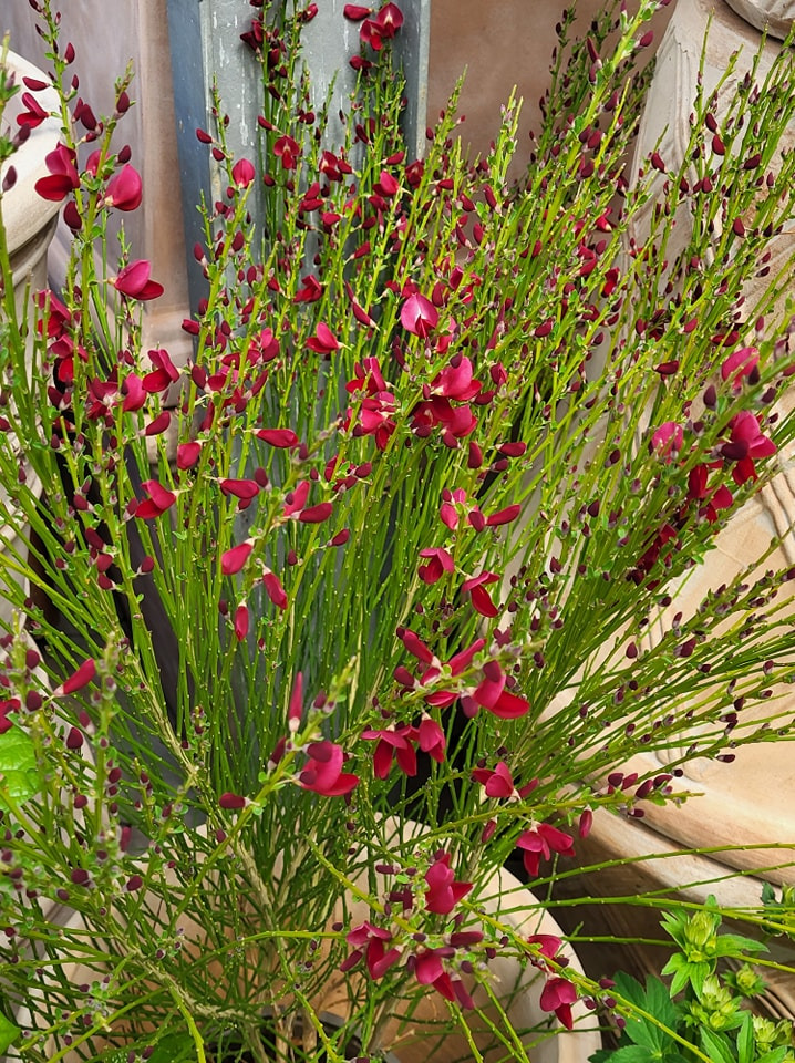 Se dagens updates fra Viborg her