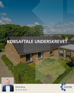 opslagsbillede