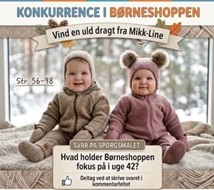 opslagsbillede