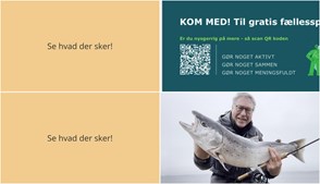 Weekend i Stubbekøbing: Mental sundhed og lystfiskeri for alle