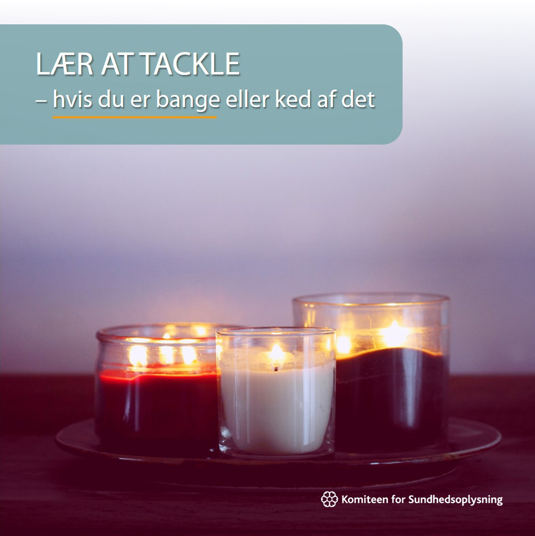 Gratis kursus i Vejle: Lær at håndtere stress og angst på nem dansk