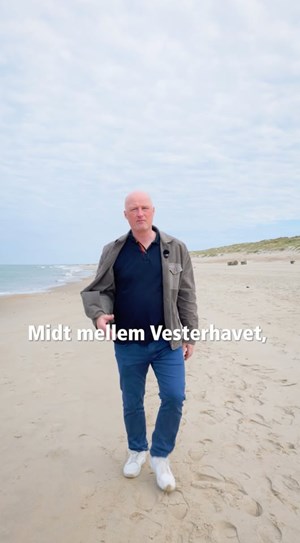 opslagsbillede