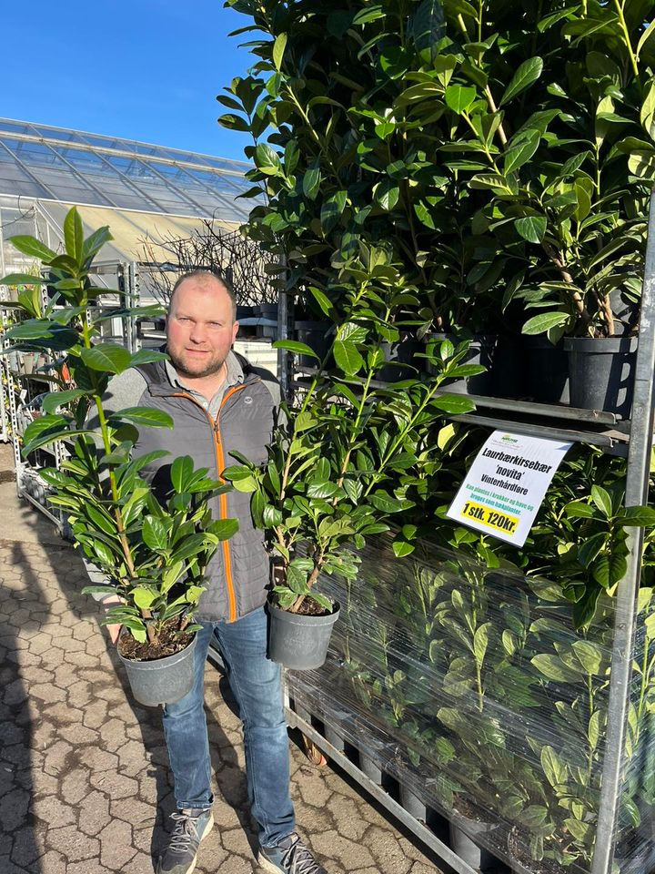 Se dagens updates fra Horsens her