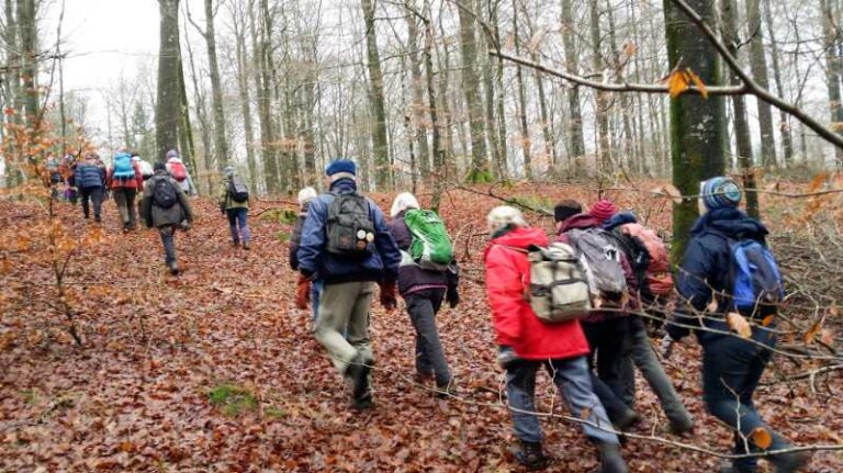 Udforsk Viborgs naturskønhed med Dansk Vandrelaug