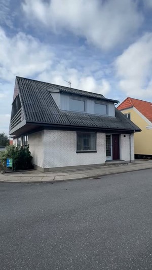 opslagsbillede