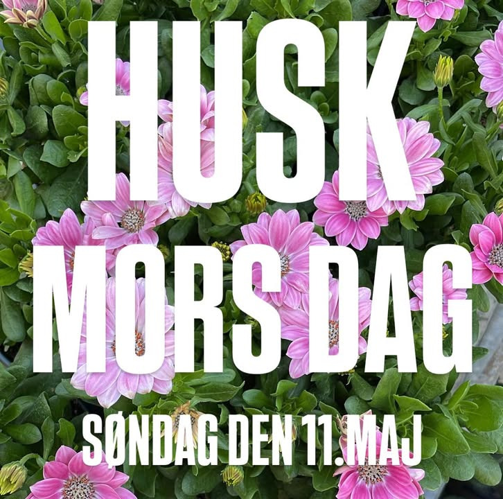 SuperBrugsen Dronninglund fejrer mors dag med stort udvalg af blomster