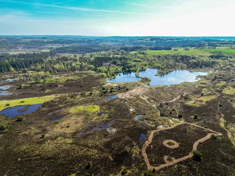 Silkeborg Kommune styrker beskyttelsen af truede naturarealer med nye tilsyn