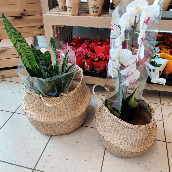 Hold dig ajour med dagens opdateringer fra Viborg