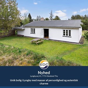 opslagsbillede