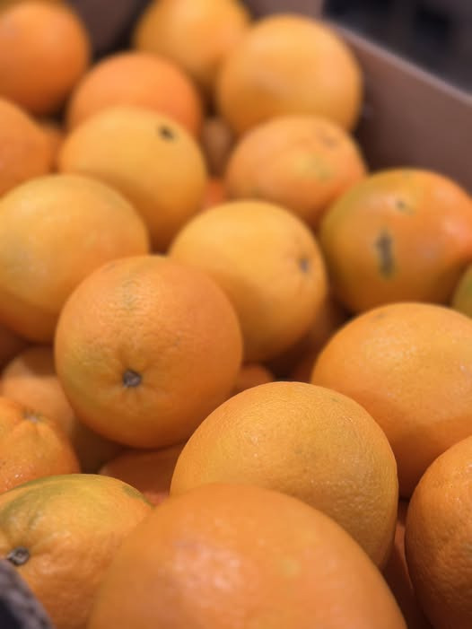 Græske appelsiner nu tilgængelige hos Midtjysk Gartnerhal